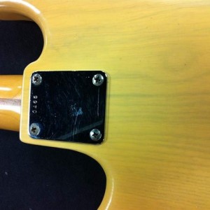 fake fender 2