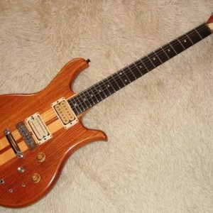Wotan Shark Guitar
