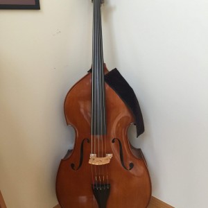 Hofner-Paesold