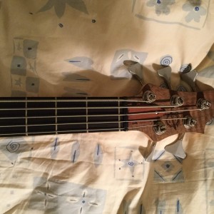 Birdsong 31" Hy5