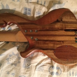 Birdsong 31" Hy5