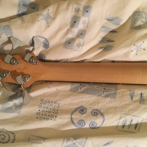 Birdsong 31" Hy5