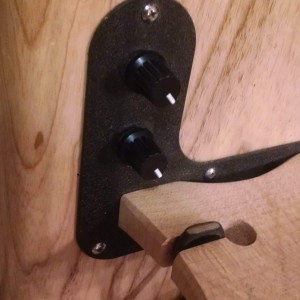 Azola BugBass Controls and Pickup