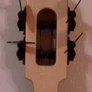 Azola BugBass Headstock Rear