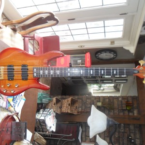 Peavey TL5