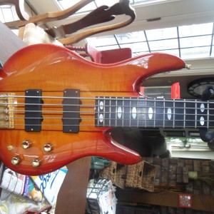 Peavey TL5