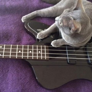 thunderkorat