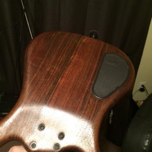 BUCKLERASH_3