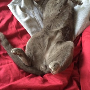relaxed