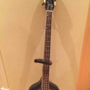 viola bass