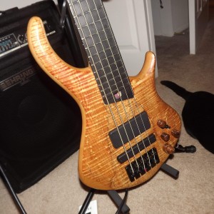 Warrior Bass 1