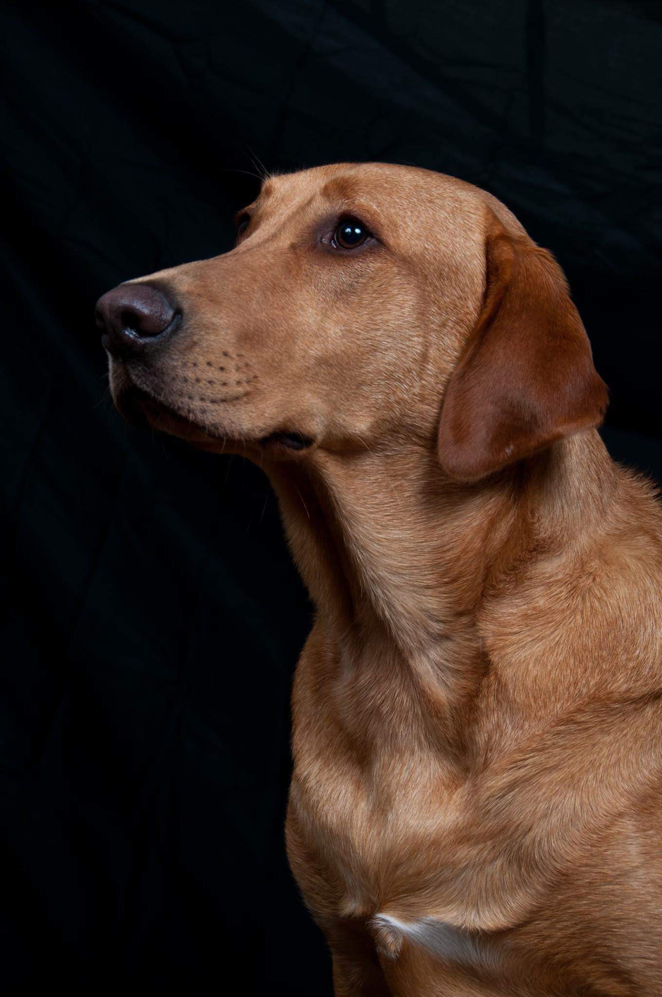 Davos portrait 1