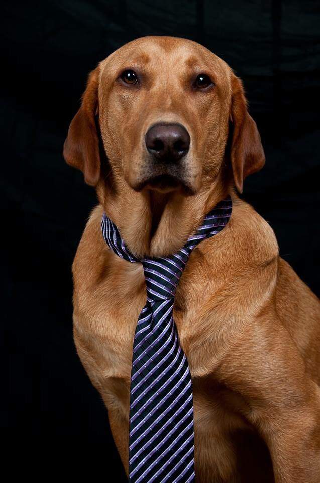 Davos portrait 3