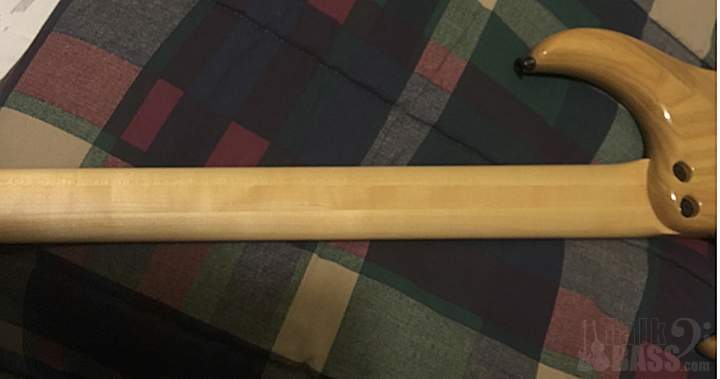 DINGWALL_BACK_NECK