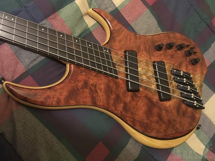 DINGWALL_BODY_FRONT