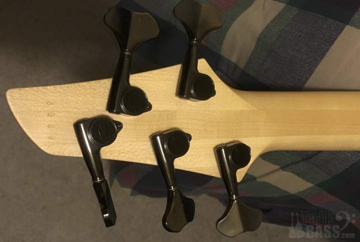 DINGWALL_HEADSTOCK_BACK