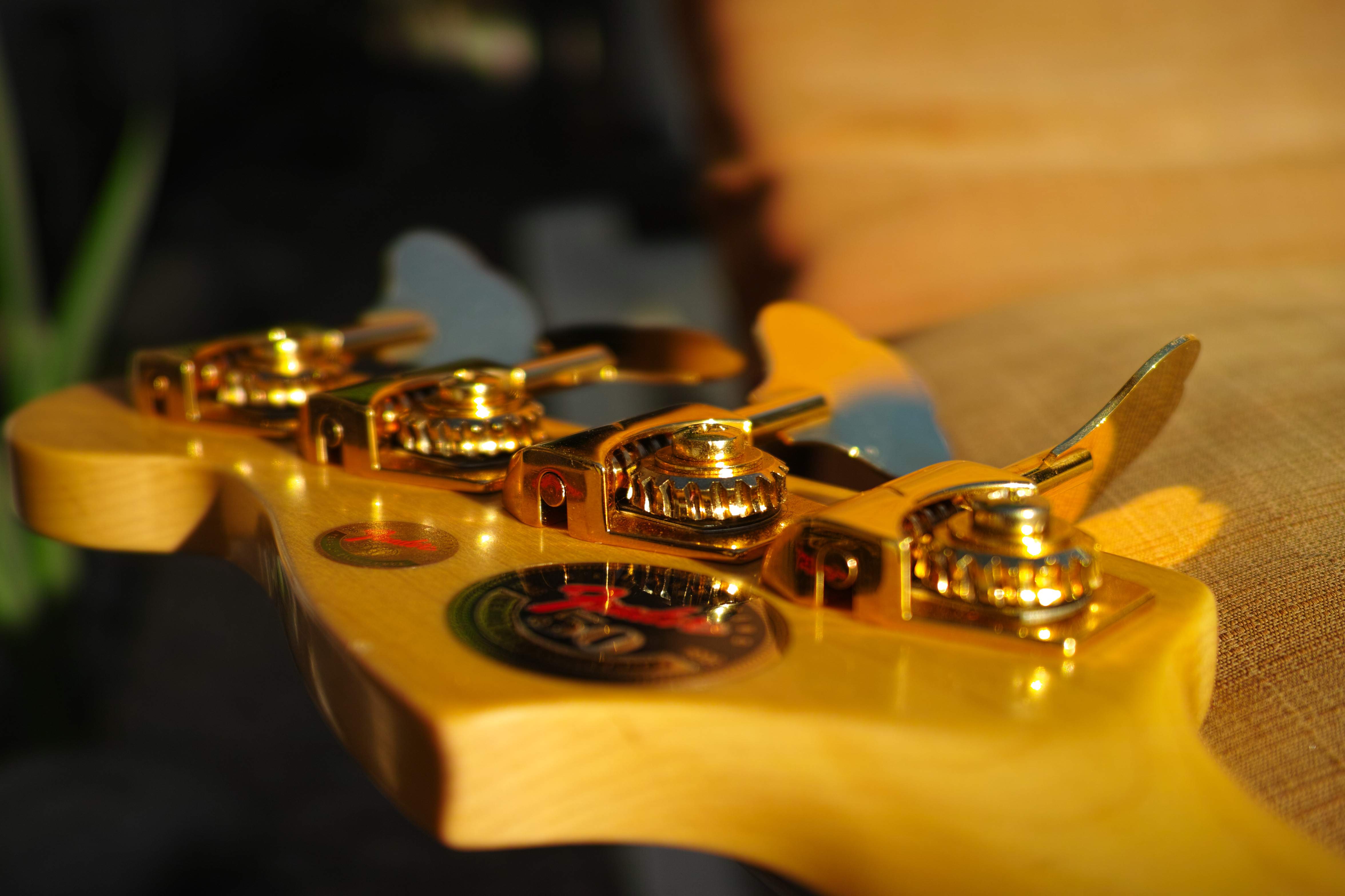 Gold rush