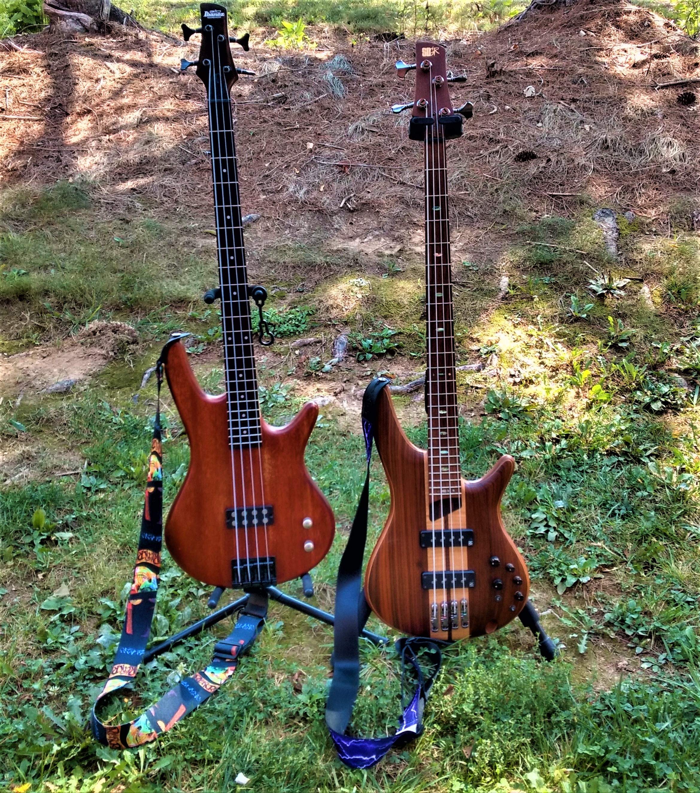 Ibanez pair