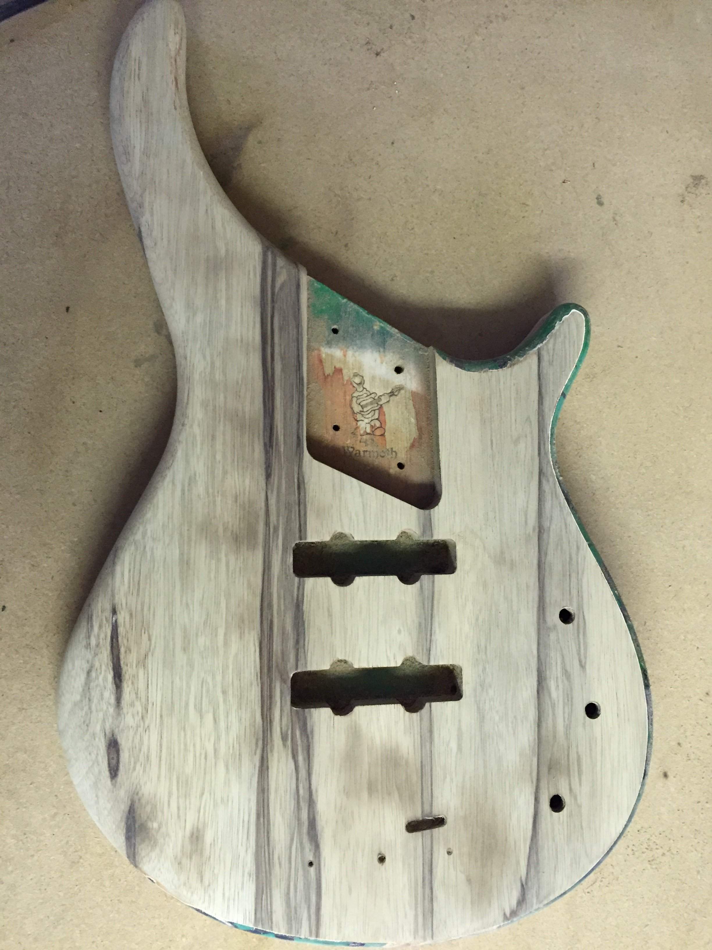 Medium Gecko Body Front 2