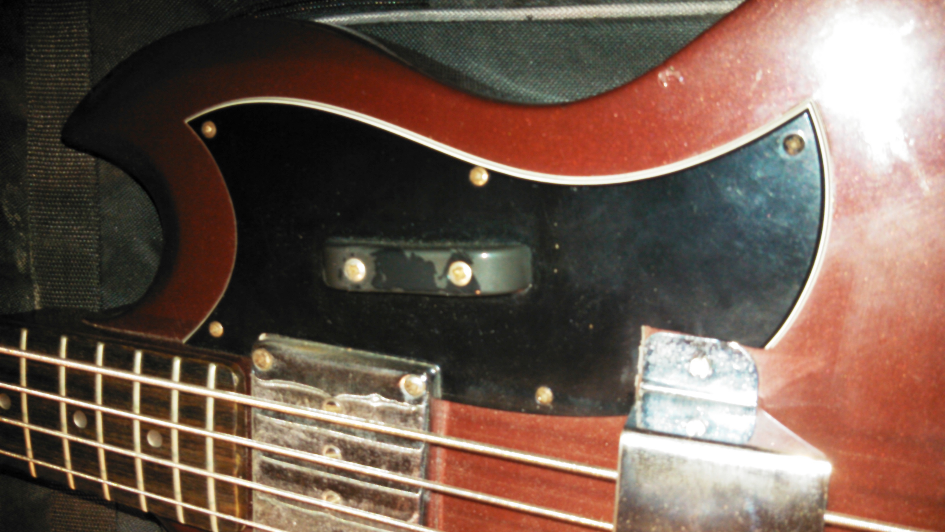 pickguard