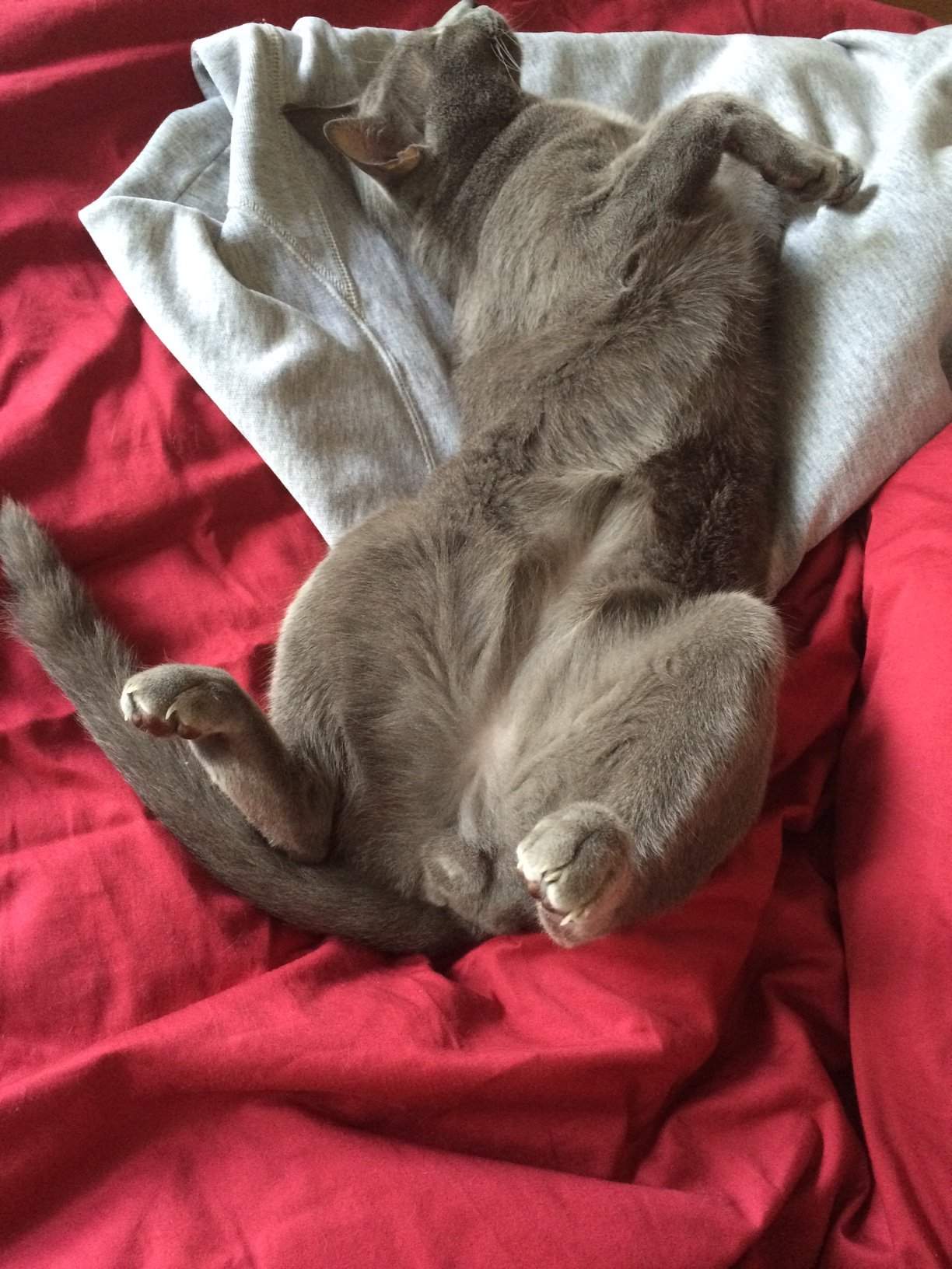 relaxed
