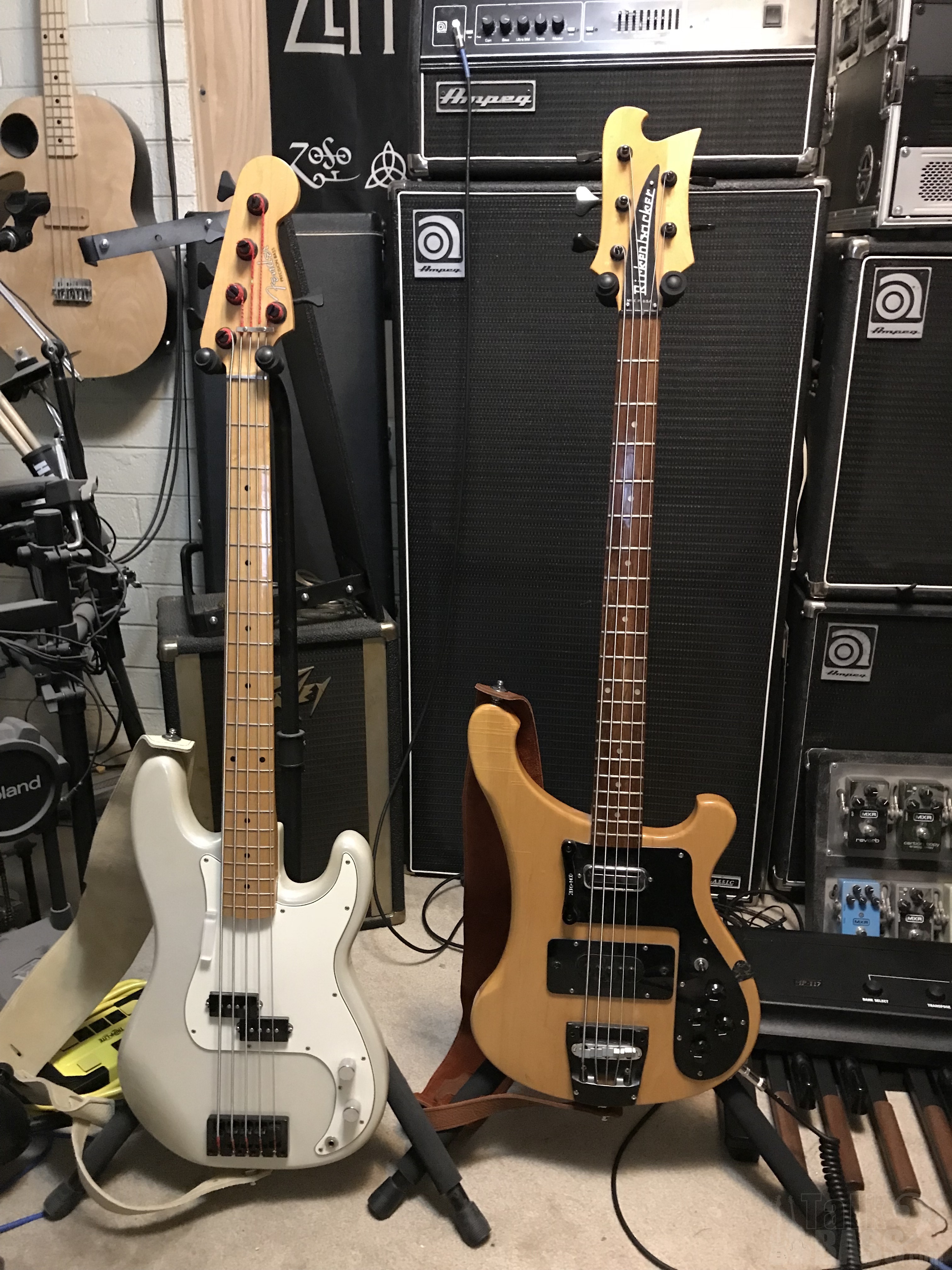 Ric&P 5 Strings