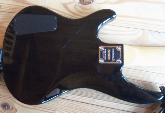 Samick 1