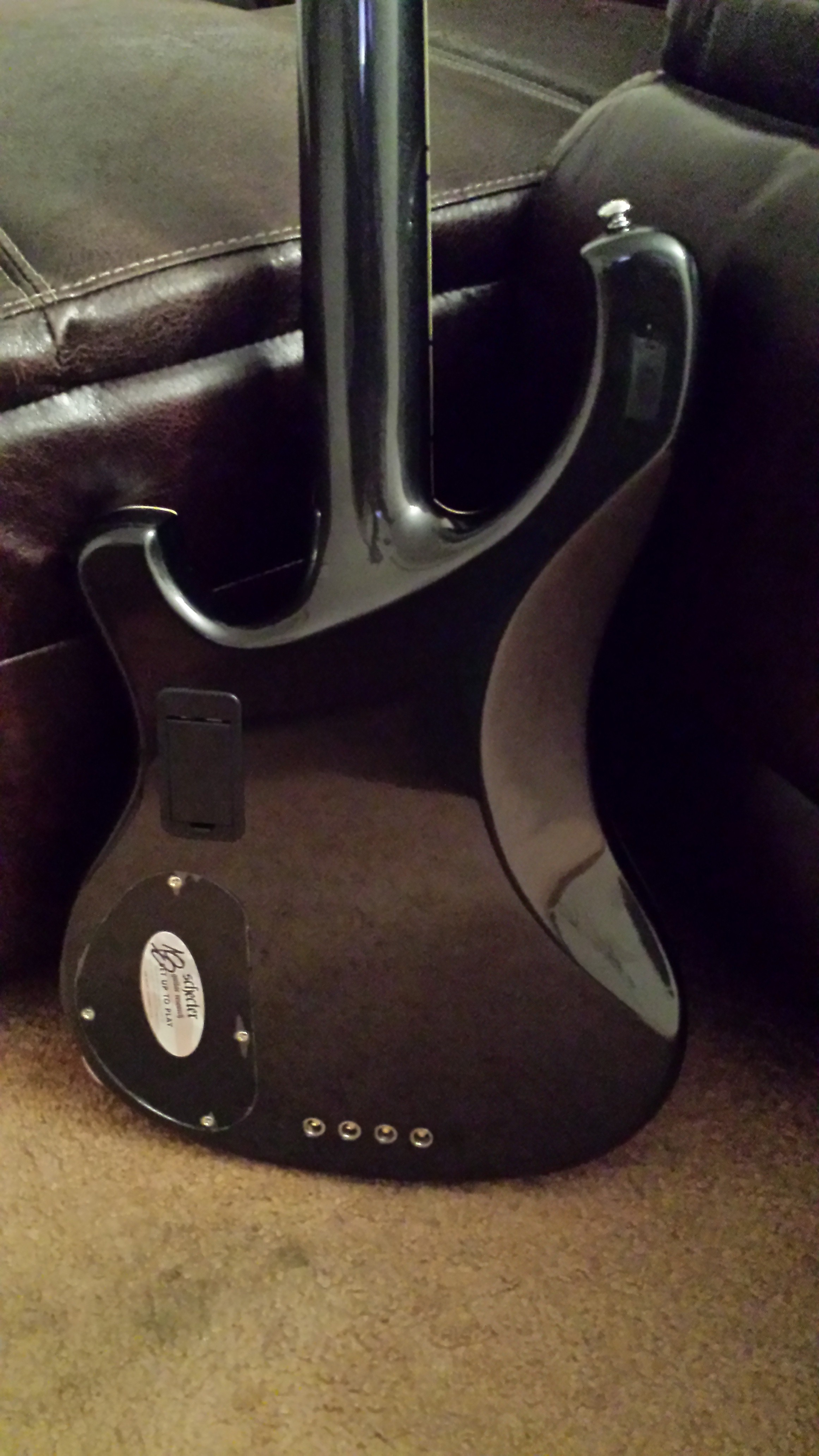 Schecter Stargazer back