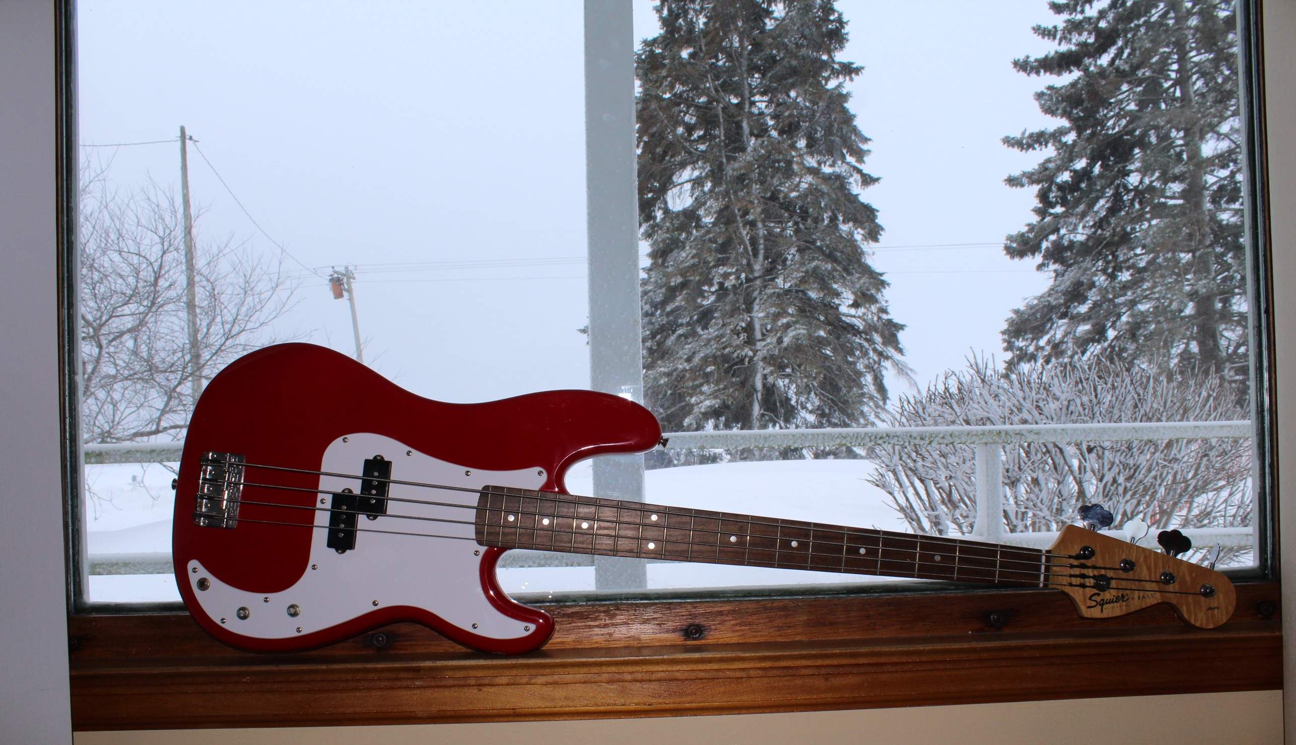 Squier Snow