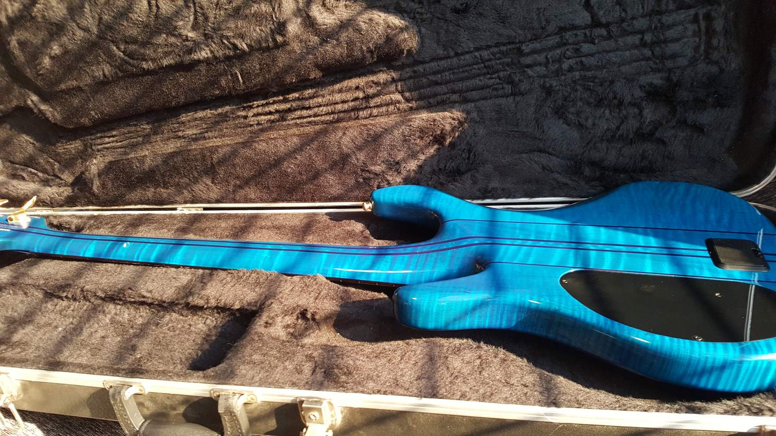 The back, again