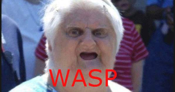 wasp