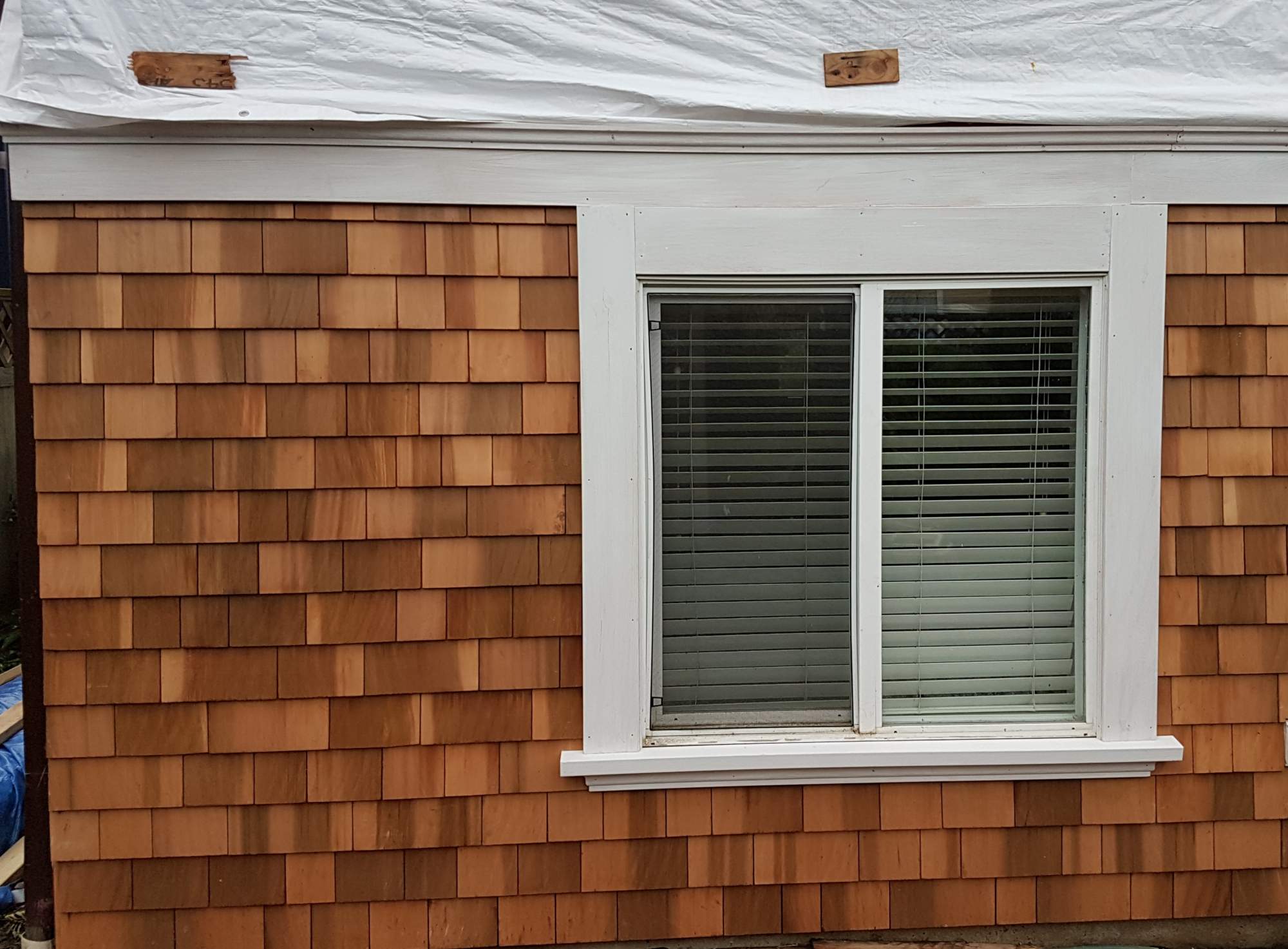 Window Trimmed