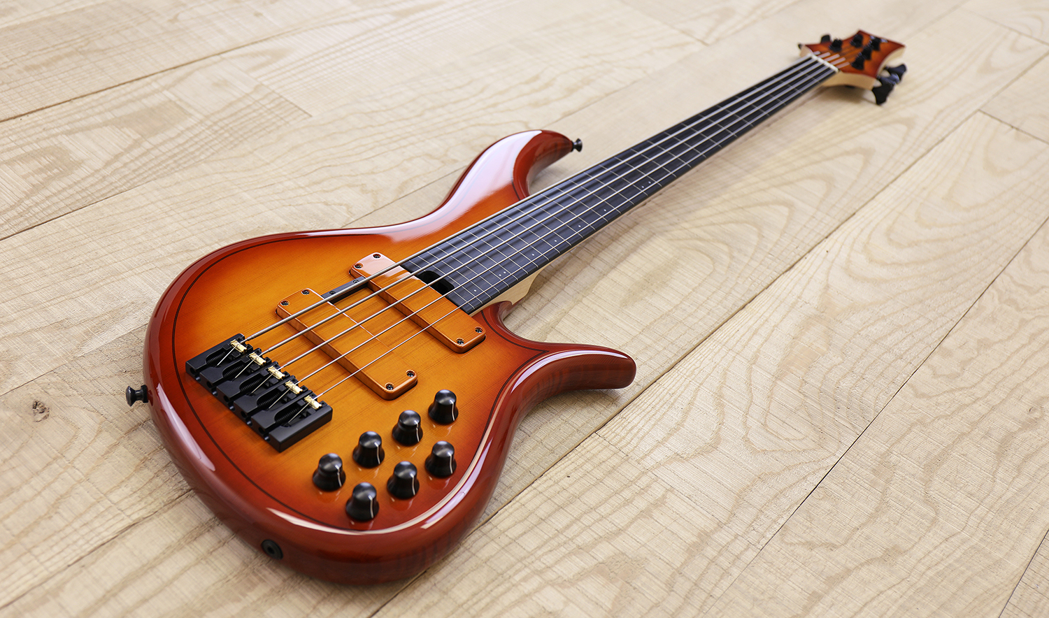 AC5-Fret-Lines-Neck-Pickup.jpg