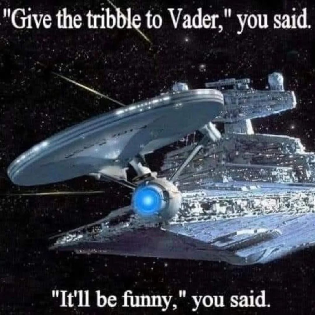 MiVEt9.jpg
