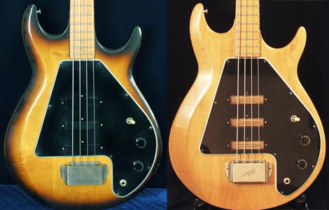 www.flyguitars.com