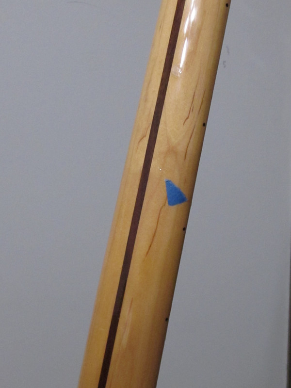 IMG-4229.jpg