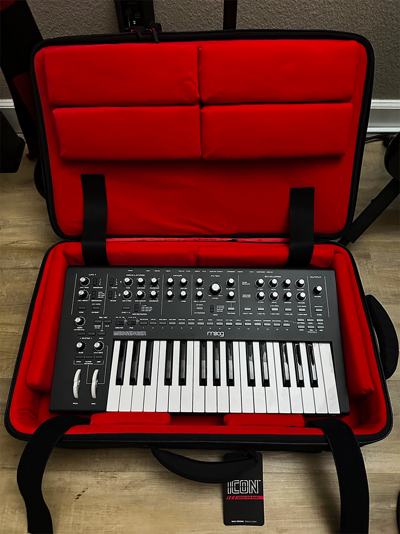 moogcase.jpg