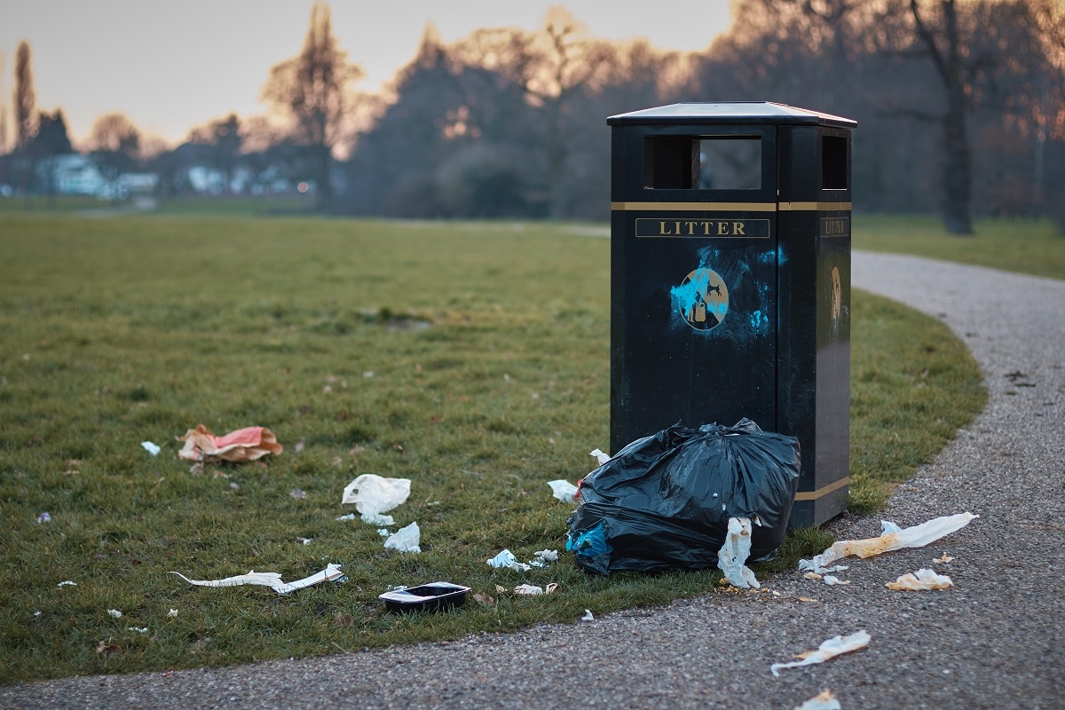 Litter.jpg