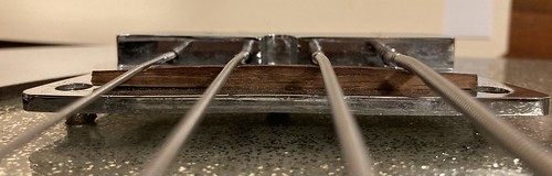 52805962917_fd3a045d4e.jpg