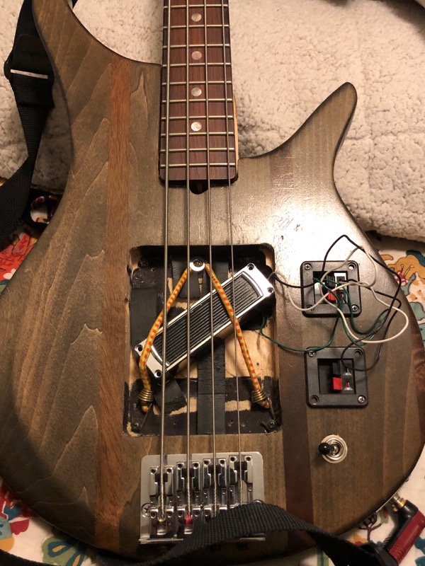 Mule_0324.JPG