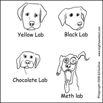 m3th-lab.jpg