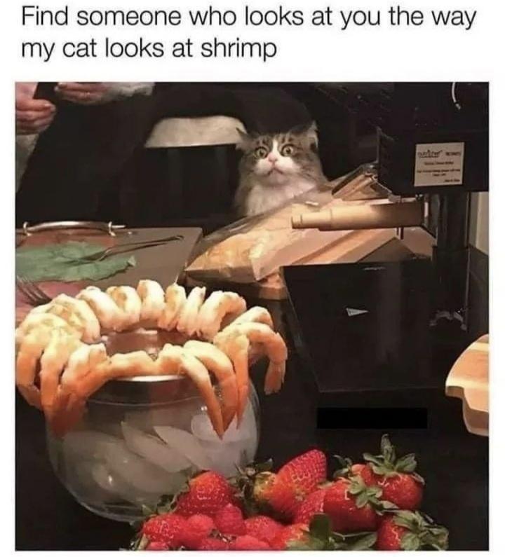 HEUcpoT.jpeg
