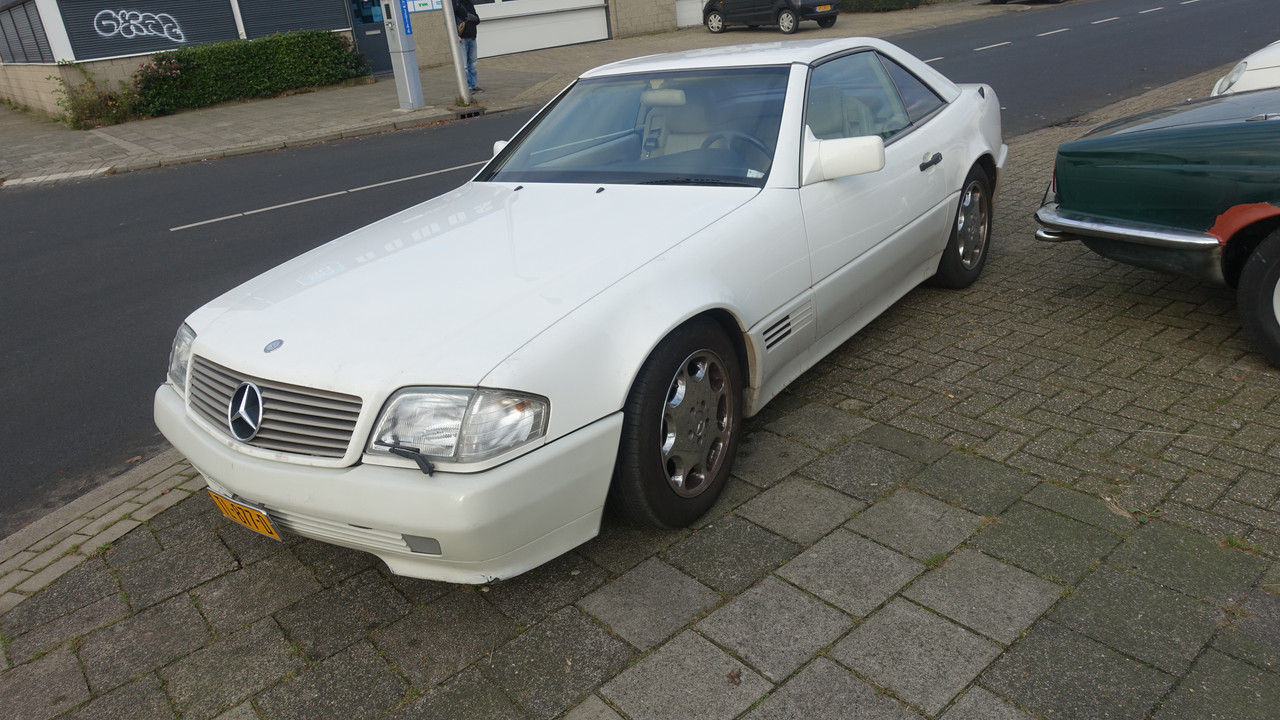 DSC08132.jpg