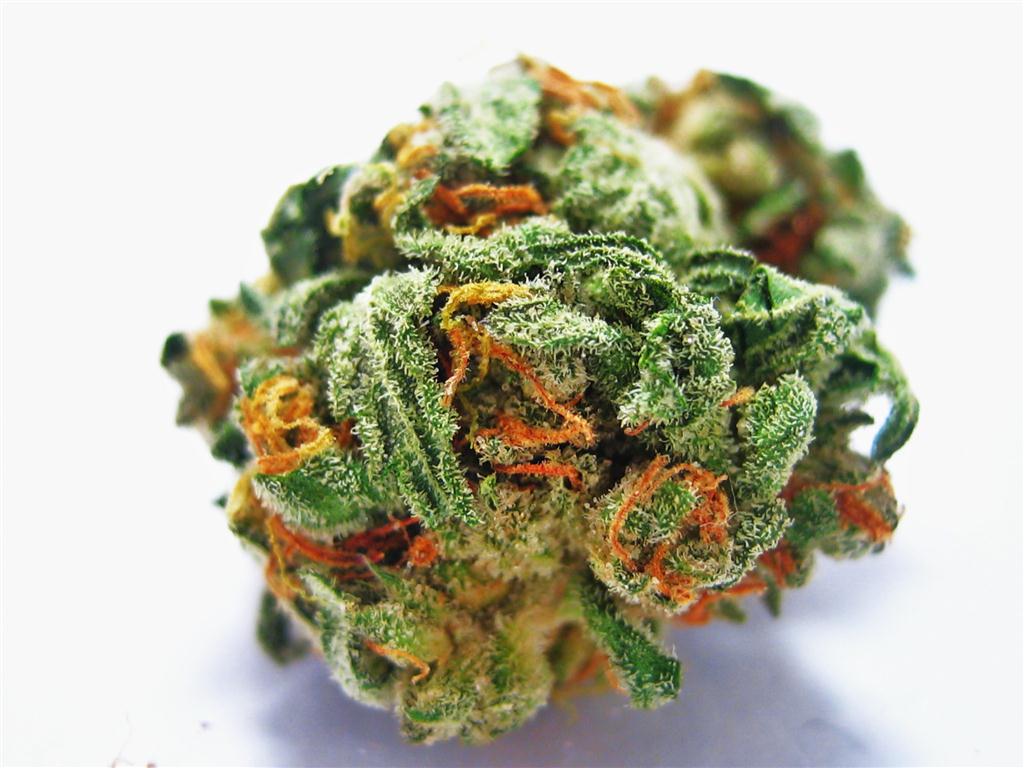 kush-3-Medium.jpg