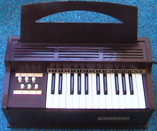 Magnusorgan.jpg