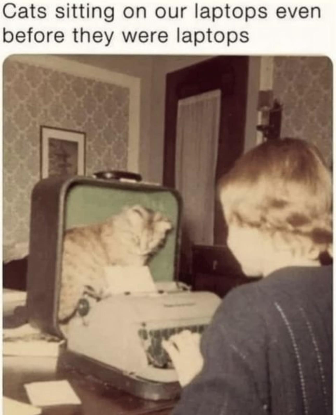 OsVZzA4.jpeg