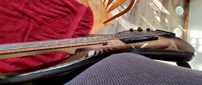 back-pin3.jpg