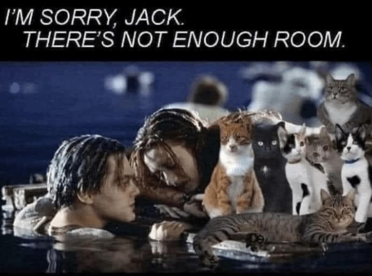 K9HqREh.jpeg