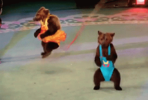 dancing-bears.gif