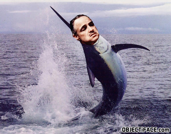 brando.jpg